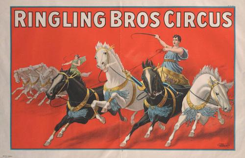 Ringling Brothers: Four Horse Chariot Racing