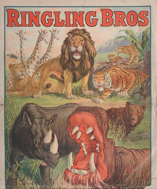 Ringling Brothers: Animals