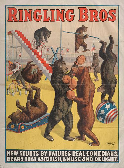 Ringling Brothers: Bears That Astonish, Amuse and Delight