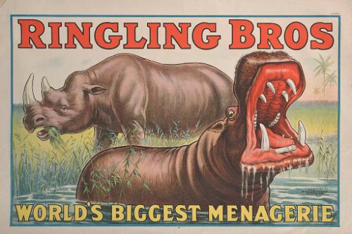 Ringling Brothers: Hippopotamus and Rhinoceros
