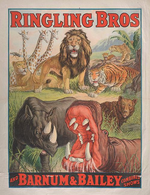 Ringling Bros. and Barnum & Bailey: Wild Animals
