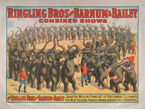 Ringling Bros. and Barnum & Bailey: Quarter Million Pound Performing Elephant