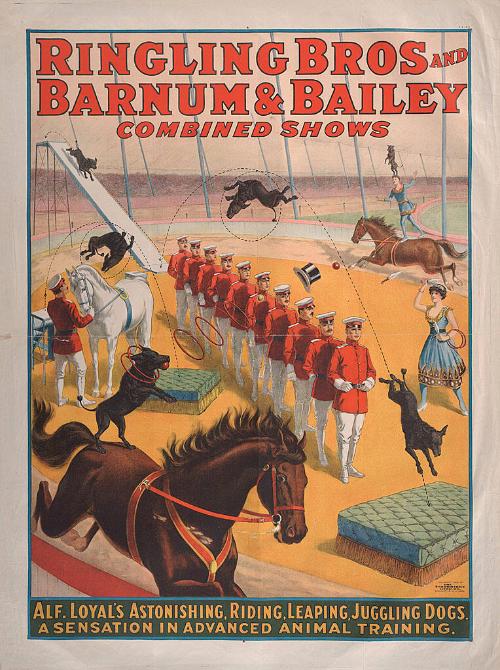 Ringling Bros. and Barnum & Bailey: Alf Loyal's Astonishing Dogs