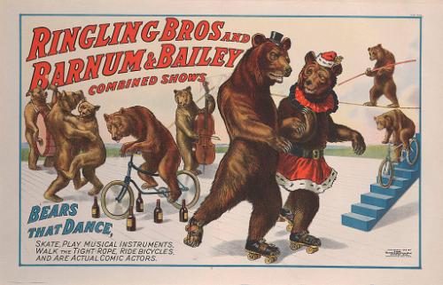 Ringling Bros. and Barnum & Bailey: Bears That Dance