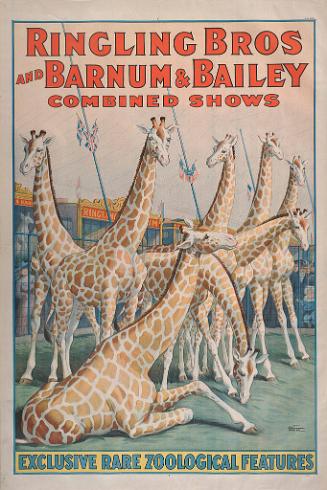 Ringling Bros. and Barnum & Bailey: Exclusive, Rare, Zoological Features