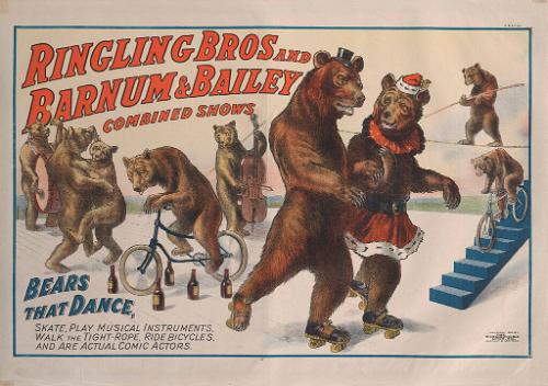 Ringling Bros. and Barnum & Bailey: Bears That Dance