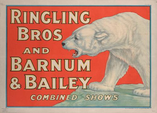 Ringling Bros. and Barnum & Bailey: Polar Bear