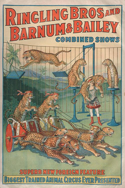 Ringling Bros. and Barnum & Bailey: Superb New Foreign Feature