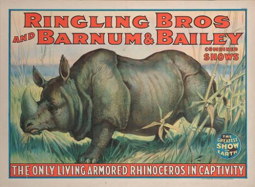 Ringling Bros. and Barnum & Bailey: The Only Living Armored Rhinoceros In Captivity