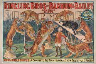 Ringling Bros. and Barnum & Bailey: New Jungle Circus