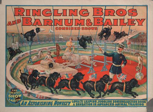 Ringling Bros. and Barnum & Bailey: Loyal's Leaping Juggling Somersaulting Dogs