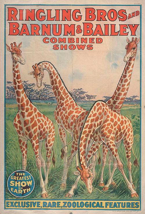 Ringling Bros. and Barnum & Bailey: Exclusive, Rare, Zoological Features
