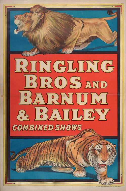 Ringling Bros. and Barnum & Bailey: Cats