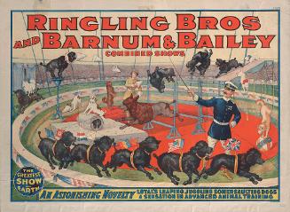Ringling Bros. and Barnum & Bailey: Loyal's Leaping Juggling Somersaulting Dogs