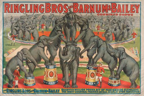 Ringling Bros. and Barnum & Bailey: Quarter Million Pound Elephants