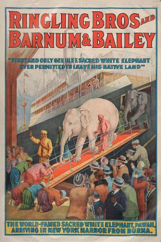Ringling Bros. and Barnum & Bailey: First and Only Genuine Sacred White Elephant