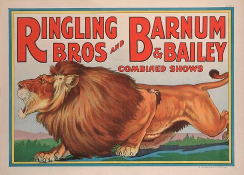 Ringling Bros. and Barnum & Bailey: Lion