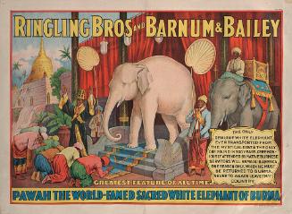 Ringling Bros. and Barnum & Bailey: Pawah The World Famed White Elephant of Burma