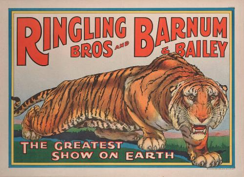 Ringling Bros. and Barnum & Bailey: Tiger
