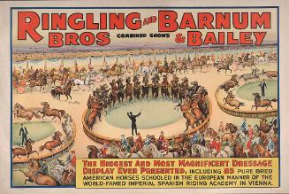 Ringling Bros. and Barnum & Bailey: Magnificent Dressage Display