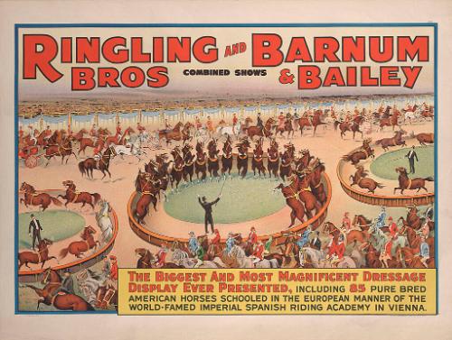 Ringling Bros. and Barnum & Bailey: Magnificent Dressage Display