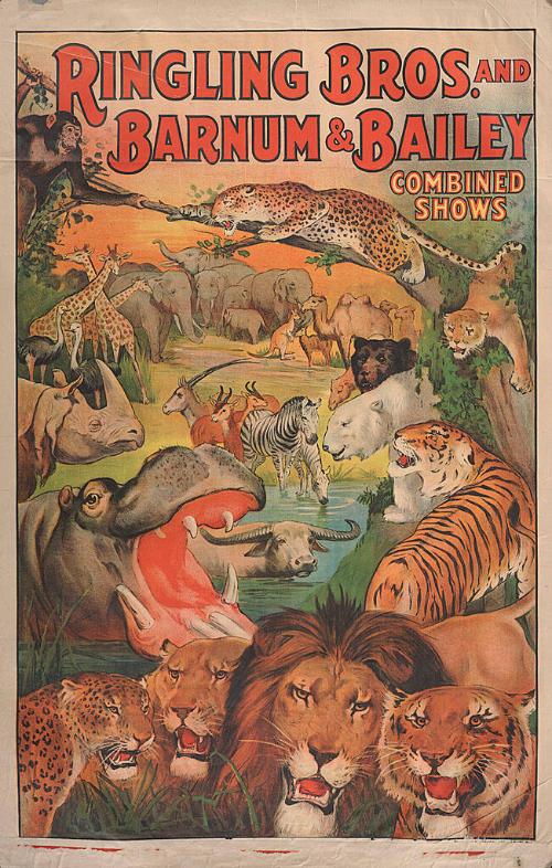 Ringling Bros. and Barnum & Bailey: Jungle Animals