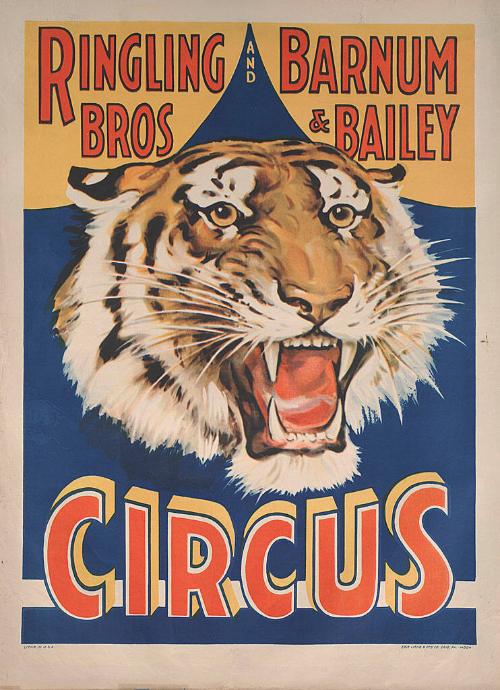 Ringling Bros. and Barnum & Bailey: Snarling Tiger