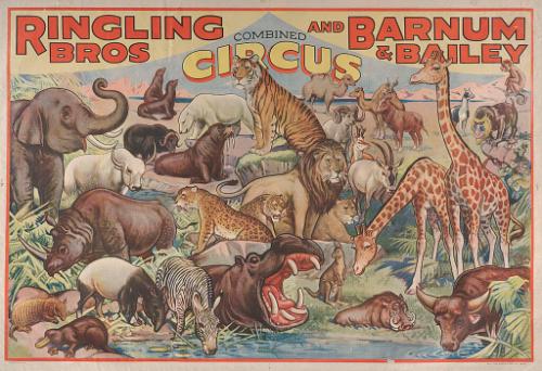 Ringling Bros. and Barnum & Bailey: Wild Animals