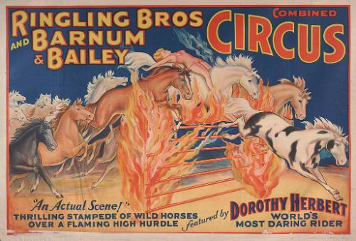 Ringling Bros. and Barnum & Bailey: Dorothy Herbert