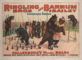 Ringling Bros. and Barnum & Bailey: Pallenberg's Wonder Bears