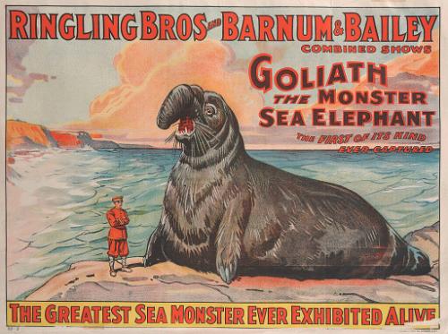 Ringling Bros. and Barnum & Bailey: Goliath the Monster Sea Elephant