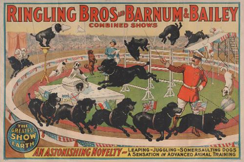 Ringling Bros. and Barnum & Bailey: An Astonishing Novelty Leaping, Juggling, Somersaulting Dogs