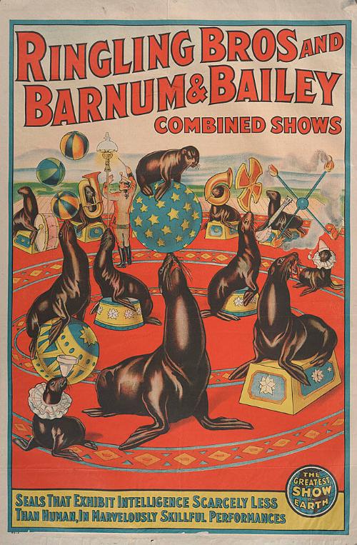 Ringling Bros. and Barnum & Bailey: Seals That Exhibit Intelligence