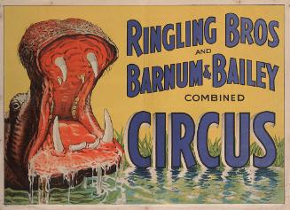 Ringling Bros. and Barnum & Bailey: Hippopotamus