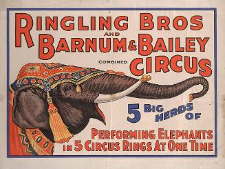 Ringling Bros. and Barnum & Bailey: 5 Herds of Performing Elephants