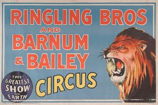 Ringling Bros. and Barnum & Bailey: Lion