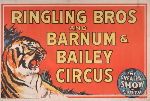 Ringling Bros. and Barnum & Bailey: Tiger