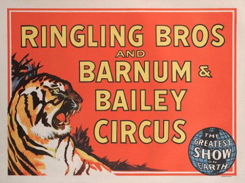 Ringling Bros. and Barnum & Bailey: Tiger