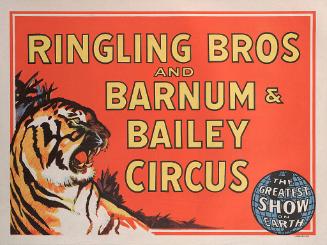 Ringling Bros. and Barnum & Bailey: Tiger