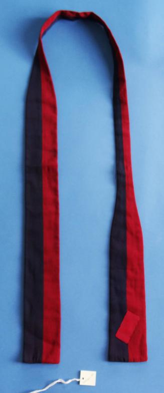 Navy Blue and Red Vertically Striped Tie