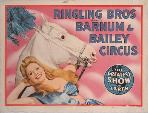 Ringling Bros. and Barnum & Bailey: Lady and White Horse