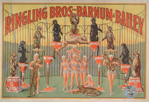 Ringling Bros. and Barnum & Bailey: Performing Jaguars, Black and Spotted Leopards and Pumas