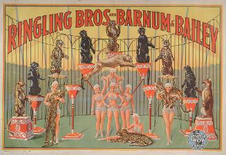 Ringling Bros. and Barnum & Bailey: Performing Jaguars, Black and Spotted Leopards and Pumas