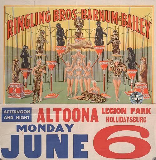 Ringling Bros. and Barnum & Bailey: Performing Jaguars, Black and Spotted Leopards and Pumas