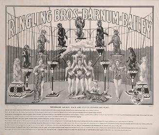 Ringling Bros. and Barnum & Bailey: Performing Jaguars, Black and Spotted Leopards and Pumas Educational Key