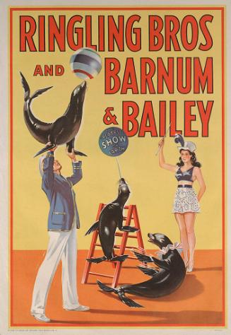 Ringling Bros. and Barnum & Bailey: Sea Lions