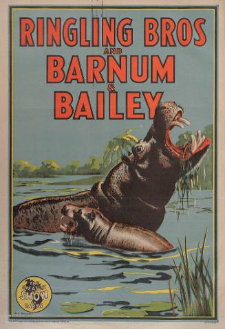 Ringling Bros. and Barnum & Bailey: Hippopotamus With Baby