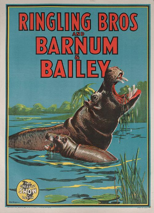 Ringling Bros. and Barnum & Bailey: Hippopotamus With Baby