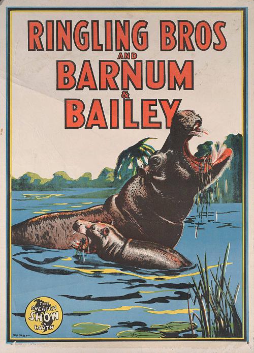 Ringling Bros. and Barnum & Bailey: Hippopotamus With Baby