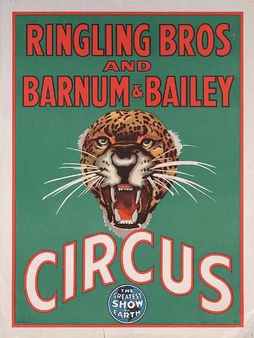 Ringling Bros. and Barnum & Bailey: Leopard